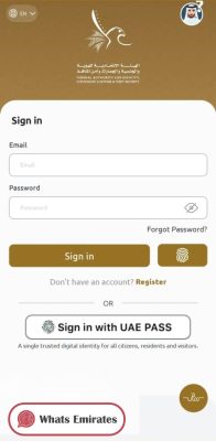 Emirates ID Status Check Steps