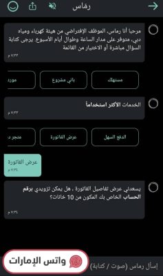 كيفية الاستعلام عن فاتورة الكهرباء و الماء عبر تطبيق ديوا