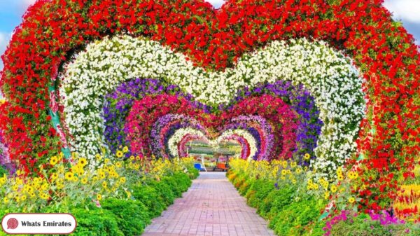 Dubai Miracle Garden Photos