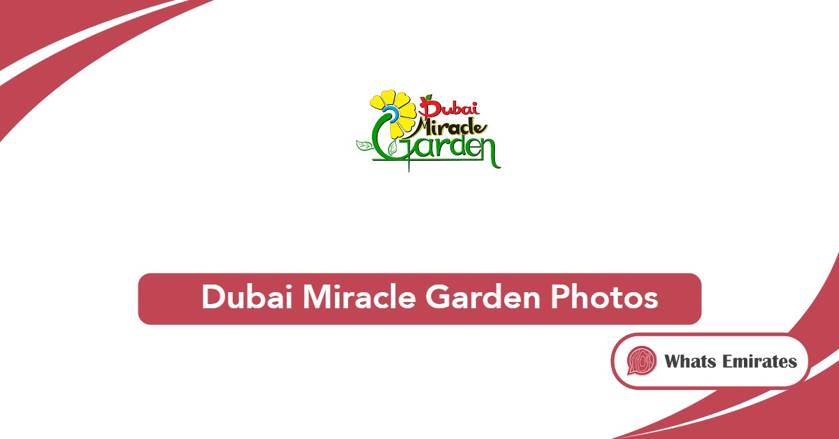 Dubai Miracle Garden Photos