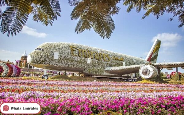 Dubai Miracle Garden Photos