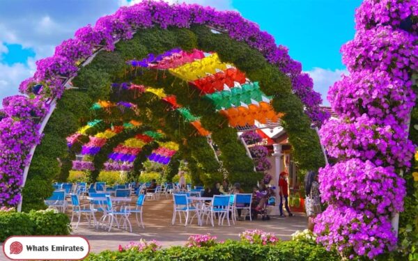 Dubai Miracle Garden Photos