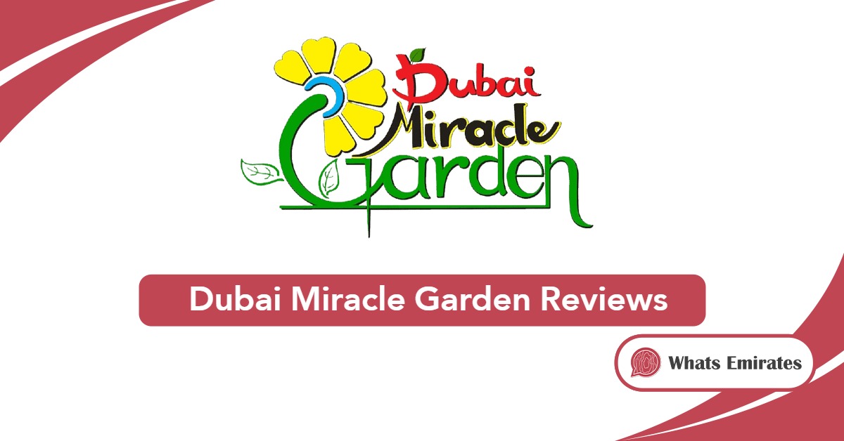 Dubai Miracle Garden Reviews 2025